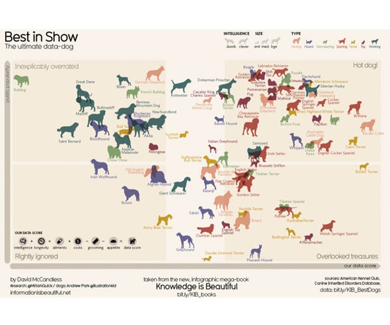 train data visualization
